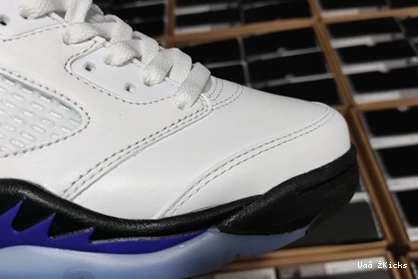 DD0587-141 Fashionable CONCORD Air Jordan5 587 0730
